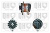 QH_QRA1496_GRUPPE.JPG