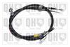 QH_BC3103.JPG