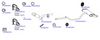OP-EXSVG829_20260529081352.JPG