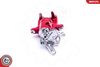 SKV_23SKV003 RED_WM_03.JPG