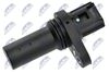 ECP-MS-002_2-WM.JPG