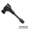 2503906.JPG