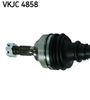 VKJC 4858_2.JPG