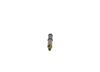 Bosch Nozzle and Holder Assembly 0986430307