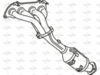 P8294CAT_1.PNG