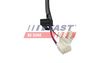 FT88375_5_1.JPG