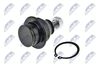 ZSD-FR-006_2-WM.JPG