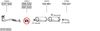 SYS13033.JPG