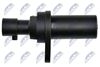 ECP-AR-005_3-WM.JPG