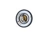 Termostat, chladivo 725174