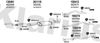 600684E.JPG