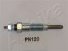 PN120_1.JPG