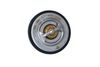 Termostat, chladivo 725216