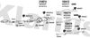 600490E.JPG