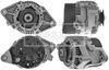 BBA2253_1093645.JPG