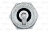 VALEO_SPARK_PLUG_246876_03.JPG