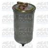 4477.JPG