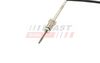 Sensor, Abgastemperatur