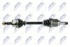 NPW-FT-021_1-WM.JPG