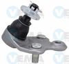 27618.JPG