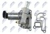 EGR-PL-003_4-WM.JPG