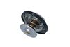 Termostat, chladivo 725216