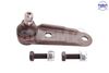 5589.JPG