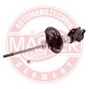 313837-PCS-MS.JPG