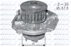 S219.BMP