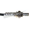 250-24186_2.JPG