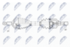 NPW-RE-154_9-WM.PNG