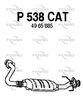 P538CAT.JPG