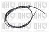 QH_BC3698.JPG