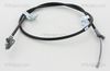 8140131167.JPG
