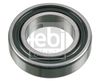 Підшипник, проміжний підшипник карданного валу FEBI BILSTEIN 179676
