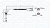 EGTS_STS0239_WR.JPG