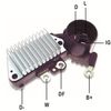 DDF_AMP0829_WR.JPG