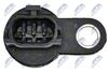 ECP-NS-009_4-WM.JPG