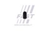 FT81203_3_1.JPG