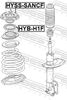 HYSS-SANCF_1.JPG