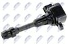 ECZ-NS-003_2-WM.JPG