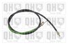 QH_BC3434.JPG