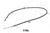 131-01-170L_2.JPG