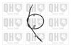 QH_BC3106.JPG