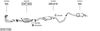 SYS11728.JPG