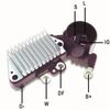 DDF_AMP0834_WR.JPG