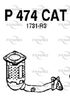 P474CAT.JPG