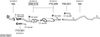 SYS11847.JPG