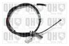 QH_BC4460.JPG