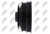 RKP-NS-008_3-WM.JPG